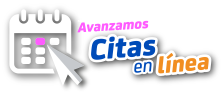 Citas en línea