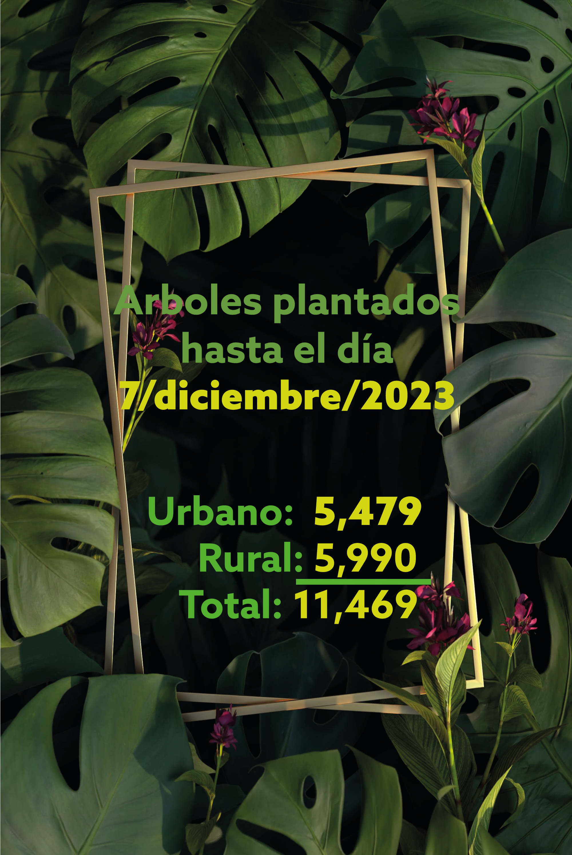 Forestacion ciudadana 2023