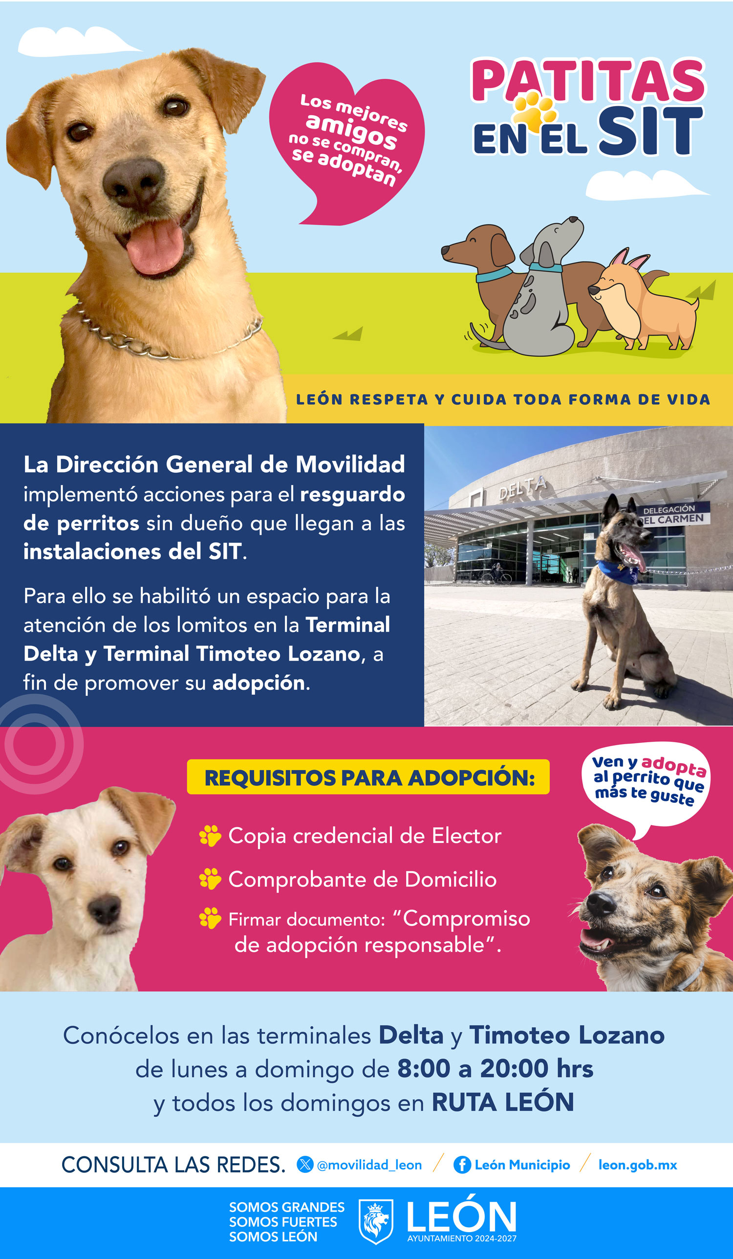 Requisitos para adopción