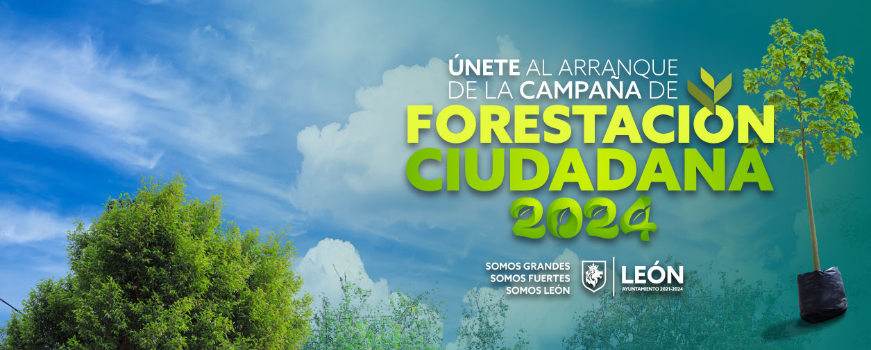 FORESTACIONES 2024