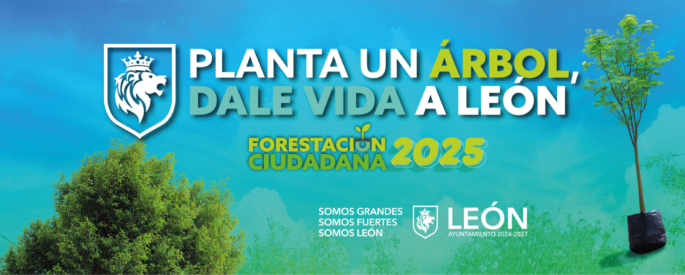 FORESTACIONES 2025
