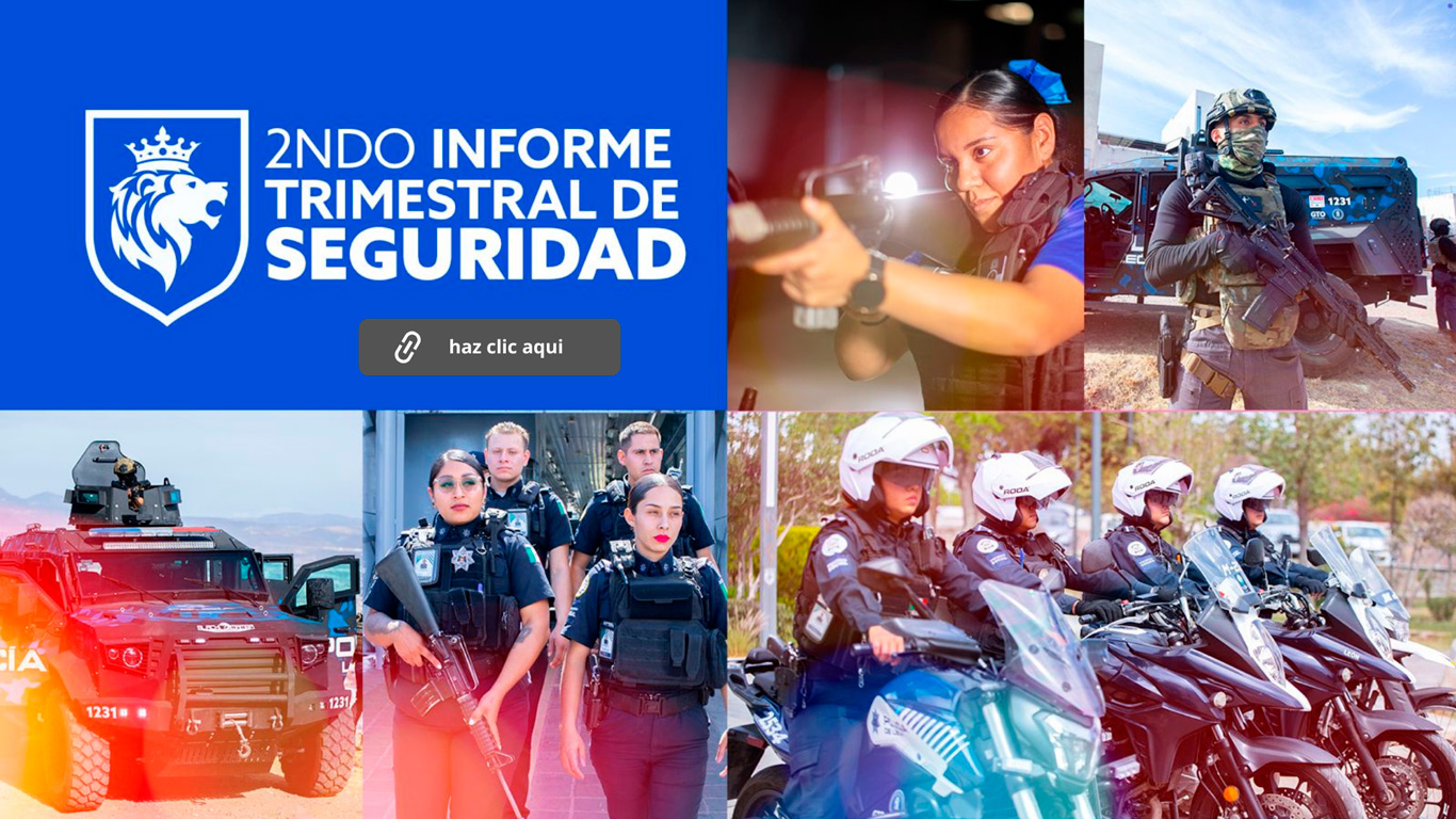 Actividades Trimestrales