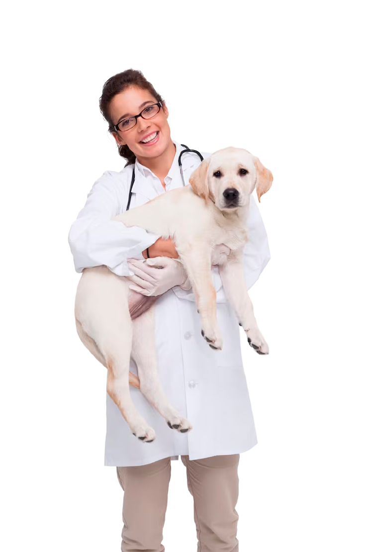 Atención para tus mascotas