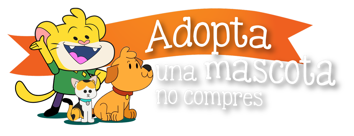Adopta una mascota: Galería de adopciones