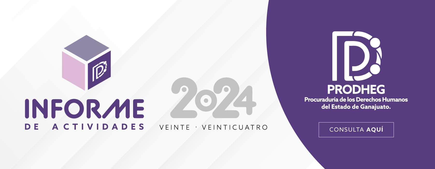 Informe de Actividades PRODHEG 2024